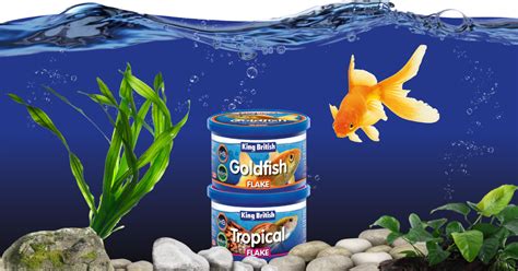 best fish food|Choosing the best food for your fish and coral: What is the .